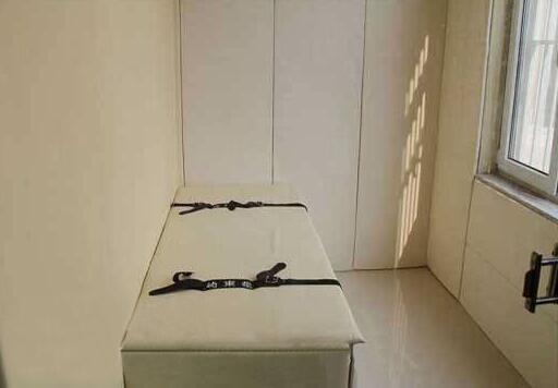 AZY-CR2型软包床(图1) AZY-CR2型软包床(图1)